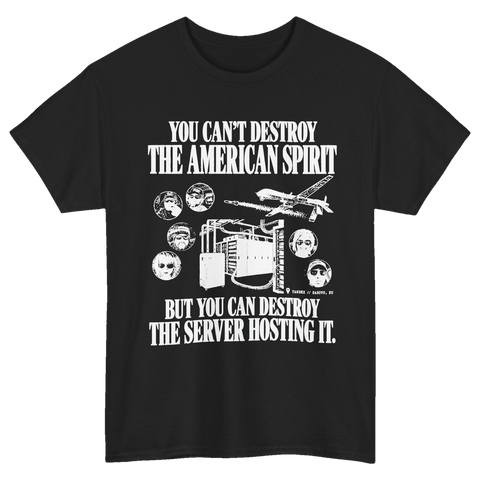 You Can't Destroy the American Spirit T-Shirt